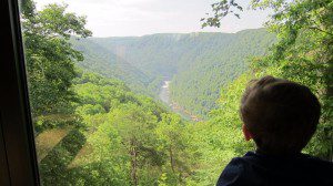 Observing New River Gorge from the Visitor's Center