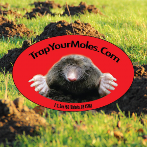 trap your moles