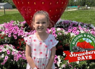 strawberry days at blooms & berries farm market