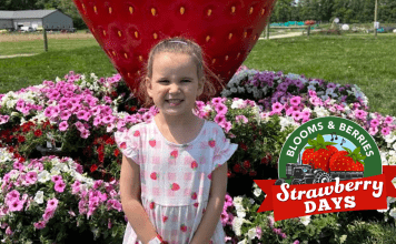 strawberry days at blooms & berries farm market